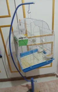 پایه نگه دارنده قفس و قفس پرنده بزرگ