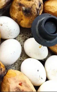 به یک همکار خانم جهت کار در کافه صبحانه