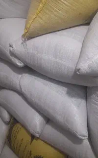گندم دیم چاق و صاف ۲تن موجود است .