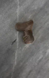 سنگ