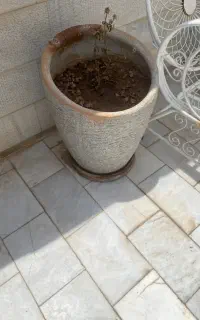 گلدان سفالی بزرگ سه عدد