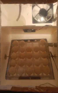 دستگاه جوجه کشی 42تایی