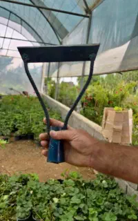 علف زن عمده وخرده با انواع نهال های ضمانتی