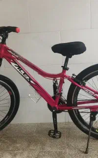 دوچرخه