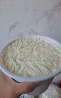 ماست مخلوط گاو و گاومیش ۱.۵کیلوگرم