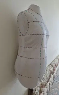 مانکن سوزن خور