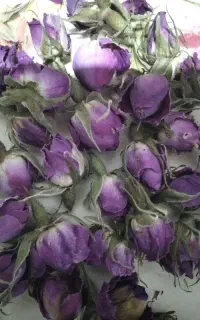 گل و قنچه تازه خشک