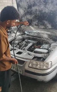 استخدام کارواشکار