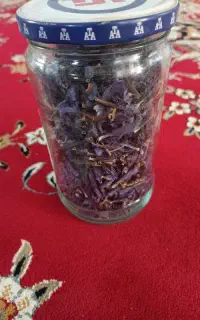گل گاوزبان