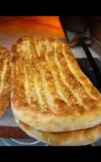 به یک شاطر بربری نیاز مندیم