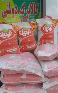 کالا برگ