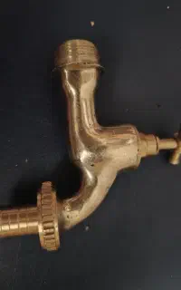 سیر برنجی 1 اینچ و 1/2 ابنچ