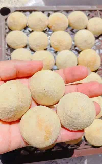 جوزغند برزک