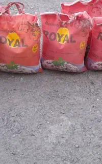 برنج رویال پاکستانی
