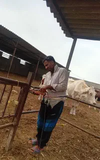جوشکار