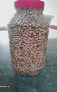 لوبیا چیتی