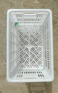 سبد سفید مشهد پلاسکو