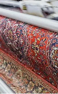 قالیشویی/رحمت بنی هاشمی نواب صفوی عدالت فرگاز
