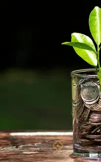 سرمایه گذاری در بازرگانی / سود / تضمین ملکی