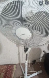 پنکه ایستاده
