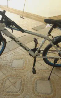 فروش دوچرخه بندرلنگه