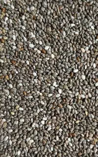 دانه چیا اصل ،سرشار از فیبر ،پروتئن و امگا ۳