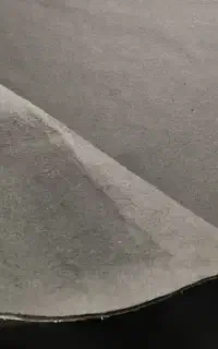 موکت تمیز