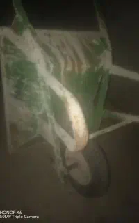 فرغون سالم بدون پوسیدگی
