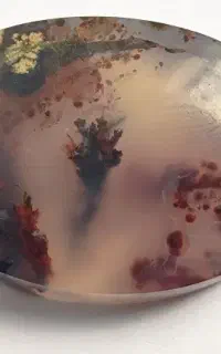 سنگ شجر