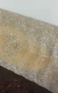 فروش یک جفت پشتی ماشینی