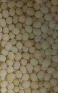 خاویار حلزون