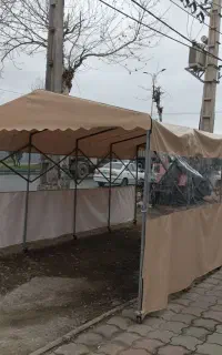 سایبان ایرانیان