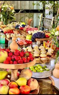 تشریفات پارس نوین