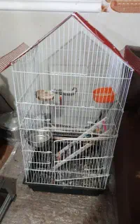 قفس بزرگ مخصوص طوطی