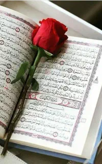دعا استخاره با قرآن کریم