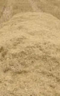 کاه گندم دیمی