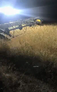 کاه دیم کاه کوب درجه یک