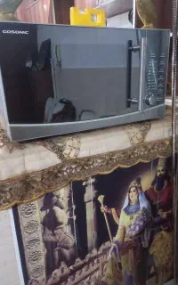 مایکروفر گاسونیک