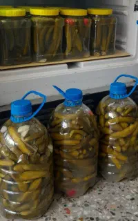 خیارشور ترد و خوششمزه