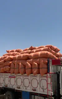 فروش کاه دینم