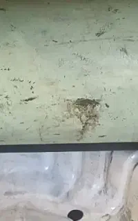 کپسول گاز سی ان جی