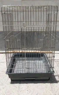 قفس