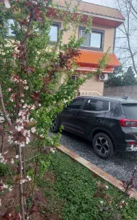 ویلا کوتاه مدت جنگلی