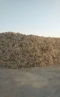 اجرگری و اجر ۲۰در۲۰