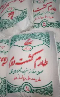 برنج طارم کشت دوم