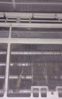 تراست