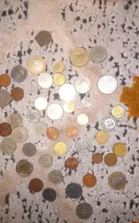 کلکسیون از سکه واسکناس