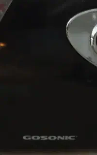 چرخ گوشت گاسونیک