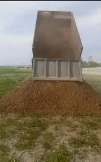کود حیوانی گوسفند و گاو