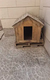 لانه سگ